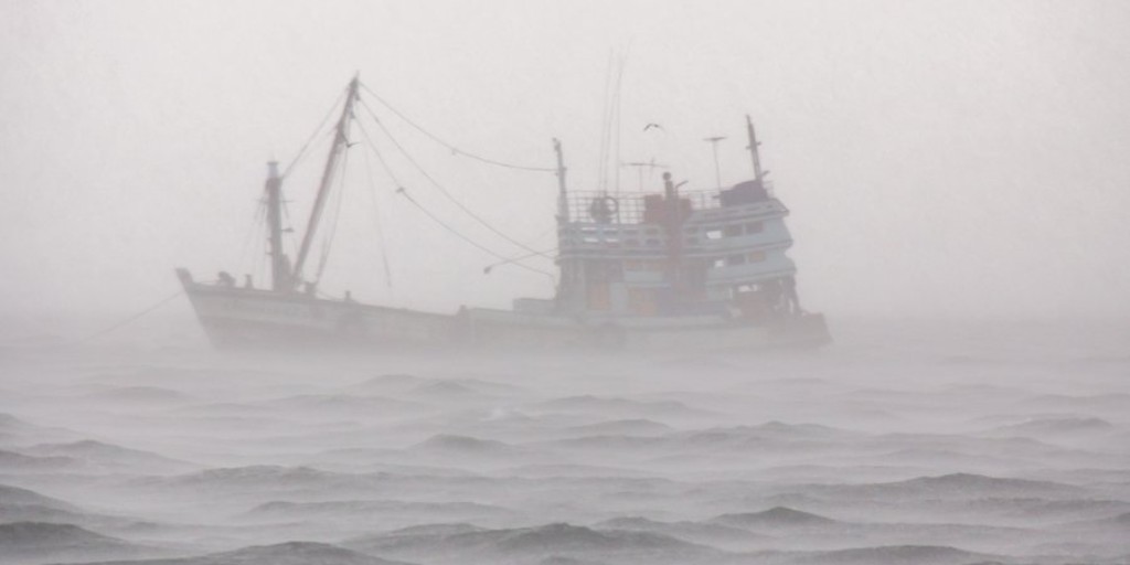 oceana's tweet photo. On this #NationalHumanTraffickingAwarenessDay, we urge @NOAA to include human rights abuses in the Seafood Import Monitoring Program. Add your name to #StopIlegalFishing today: https://t.co/SGiftoUMQA #StopIUUFishing https://t.co/ycyrR7EKI7