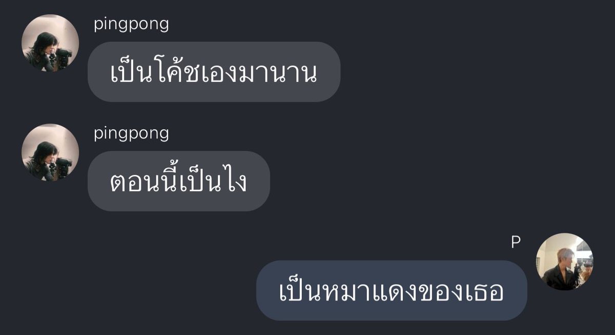 กระดิกหางดุ้กดิ้ก