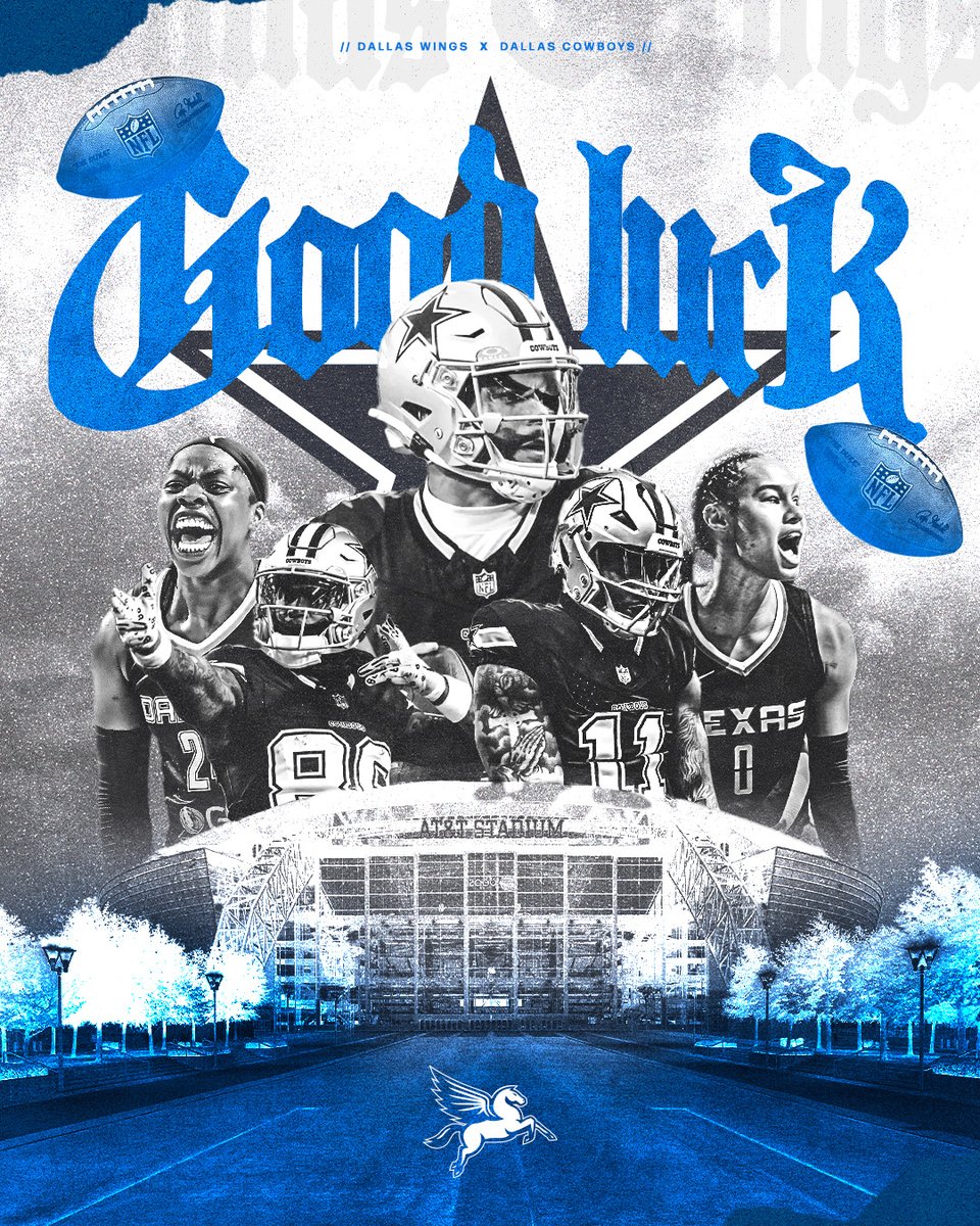 DallasWings's tweet photo. It's time to Seize Everything, @dallascowboys. It's playoff time in Arlington! ⭐️ https://t.co/0lPimX3XfT
