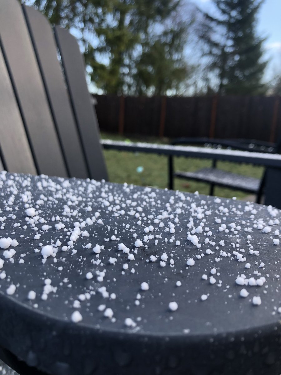 848ty's tweet photo. The #Snowpocalypse of Jan 2024 will never be forgotten…..good luck to all out there, plz be careful ⛄️ https://t.co/VNGp6l0jJW