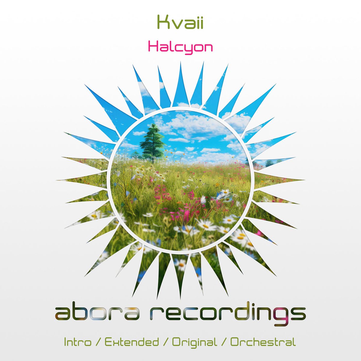 OriUplift's tweet photo. 6. @KvaiiMusic - Halcyon 
[@AboraRecordings] #UpOnly570 https://t.co/KD7StrbJC7
