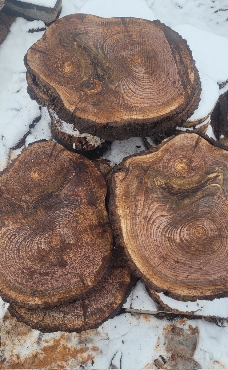 Sawmill Sid Inc. (@SawmillSid) / Posts / X