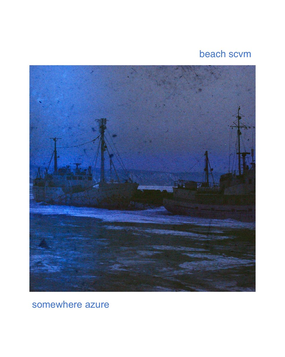 beach scum tweet media