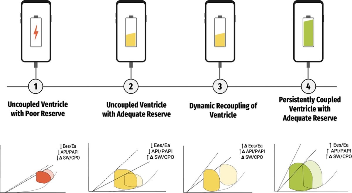 This graphical visualization of ventricular coupling using PV loops and 'battery charge' level is one of my favorite hemodynamics figures from 2023 in @JCardFail thanks to @robmentz and @dranulala for championing powerful visuals as part of accepted manuscripts and we thank all…