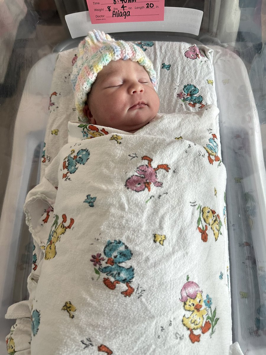 Sean MacIsaac tweet media