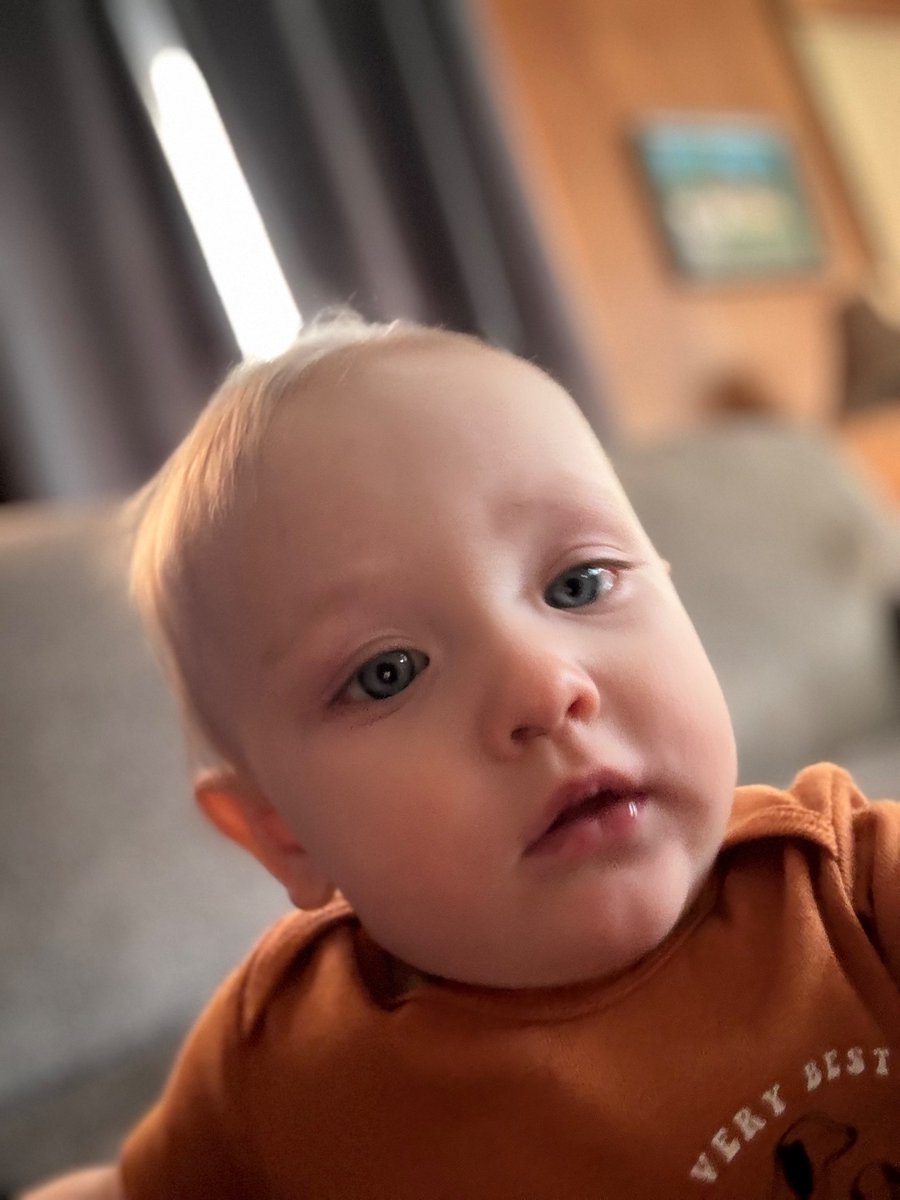 GeeLankton's tweet photo. My son turned into Kevin James over night 😂 https://t.co/r3h0SjPy3z