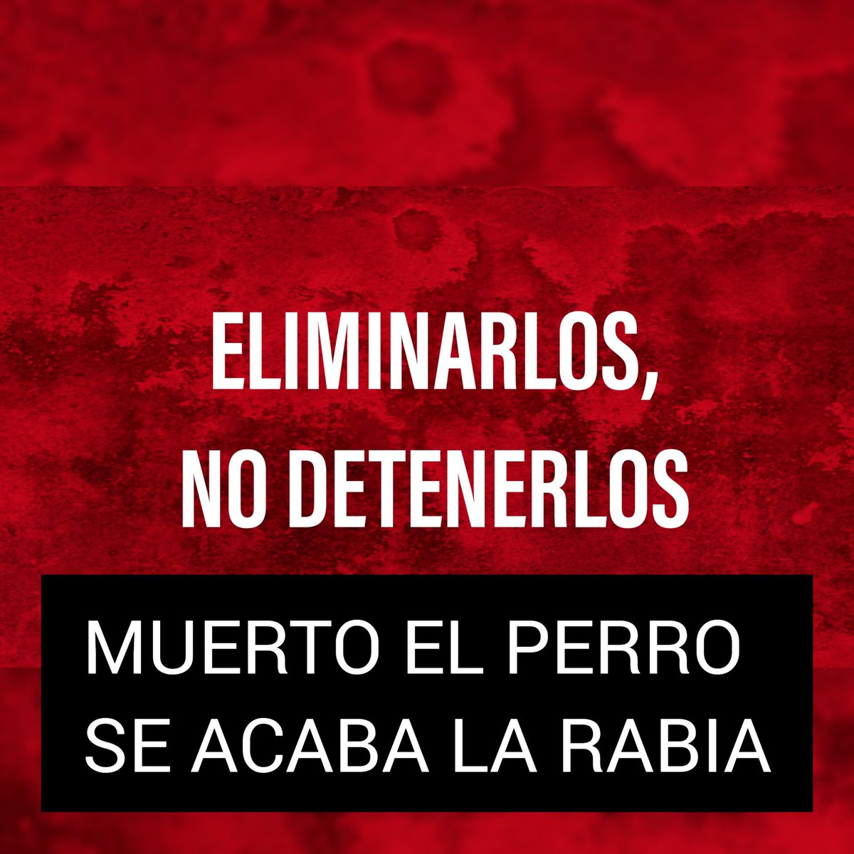 patriotaEcuador's tweet photo. @Tragos_Largos_ https://t.co/QxxXB9Bgzr