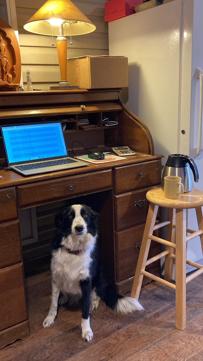 Currently setting on the porch at my desk checking out LRP rates. Tractor won’t start, was plugged in all night. Put oil pan heater on it and battery charger. LRP doesn’t work and neither does the tractor today.🤦🏻