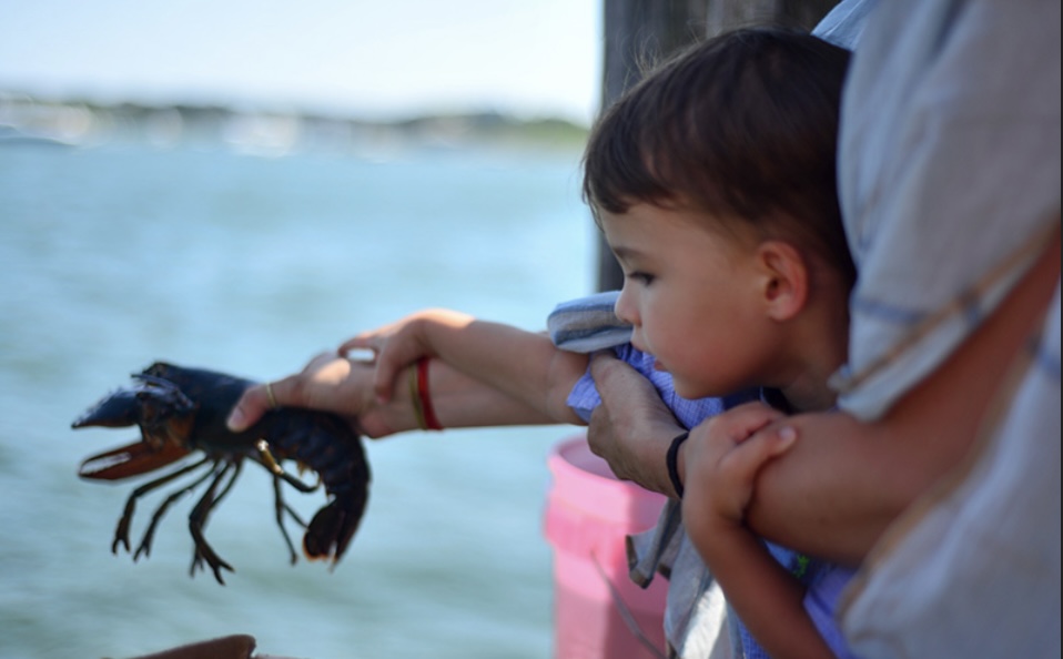 With your fantastic support, we've hit one third of our goal since launch.

Let's raise awareness for the importance of animal lives! Share this campaign on Twitter.

Thank you.

🦞bit.ly/47ZwTnz🦞 #kissthatlobster #AnimalAdvocacy