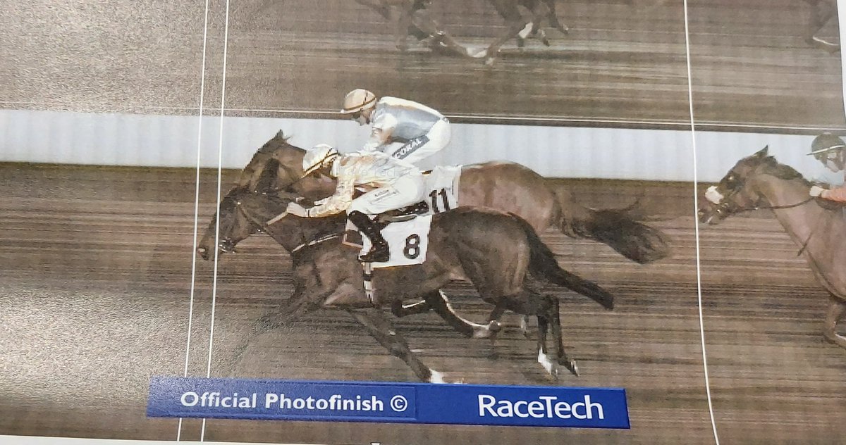 LinnettTony's tweet photo. It was near-miss for Ted last night at Kempton, but at least we managed a plug for the book. Many thanks to Racing TV's Anthony Dunkley  for his kind help. Indeed, thanks to @nickluck  @MCYeeehaaa  @mapletoft_simon and @RobertCooper58  fortheir previous support of the cause. https://t.co/tNjflBsMZu