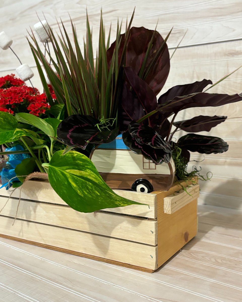 Blossom Town tweet media