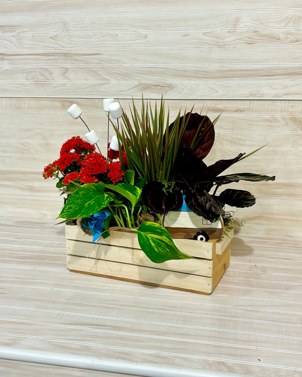 Blossom Town tweet media