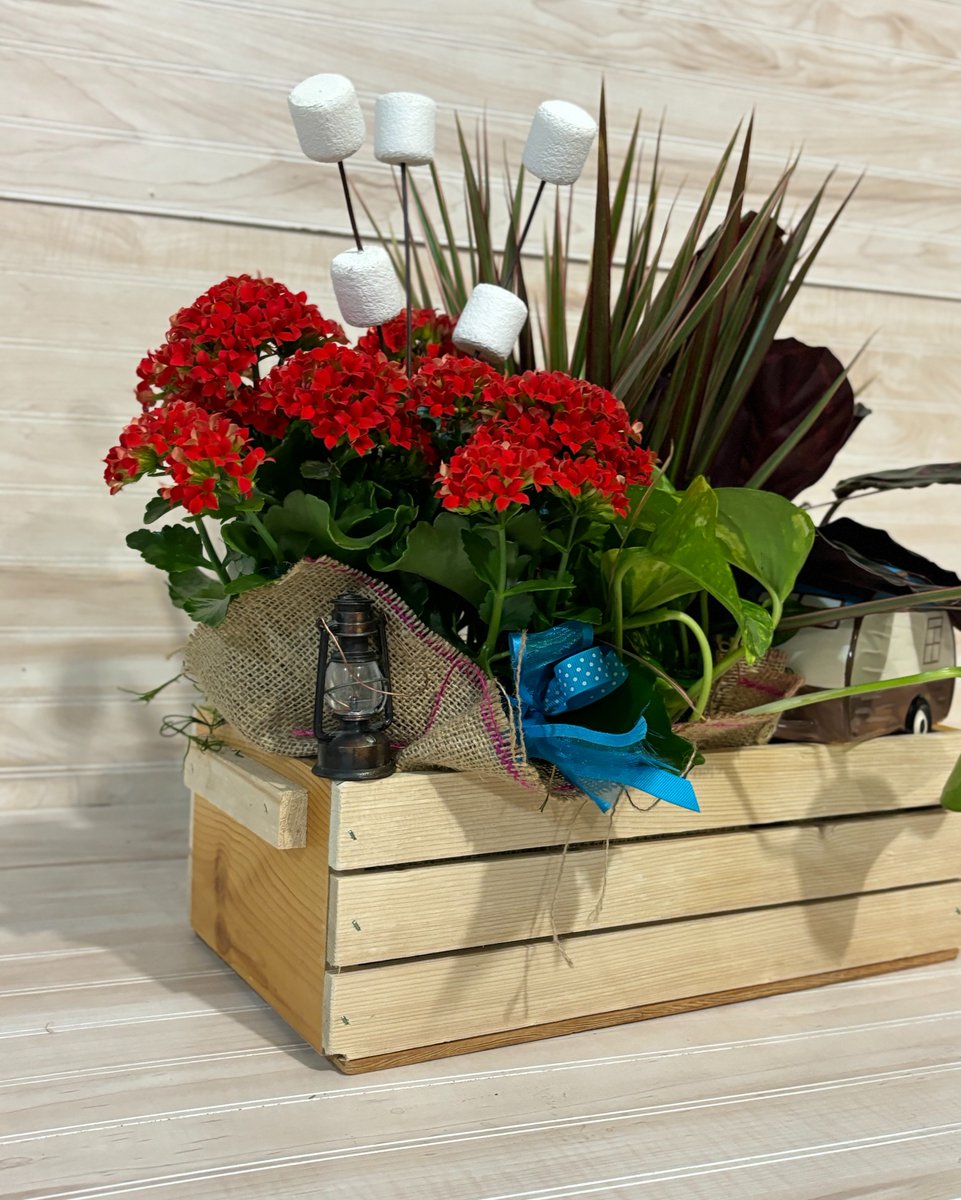 Blossom Town tweet media