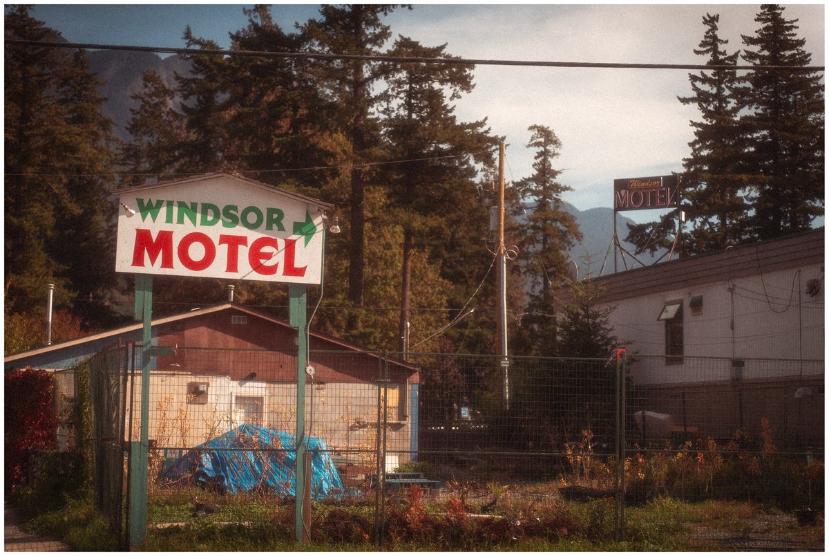 BobbySolace's tweet image. Hope
   less