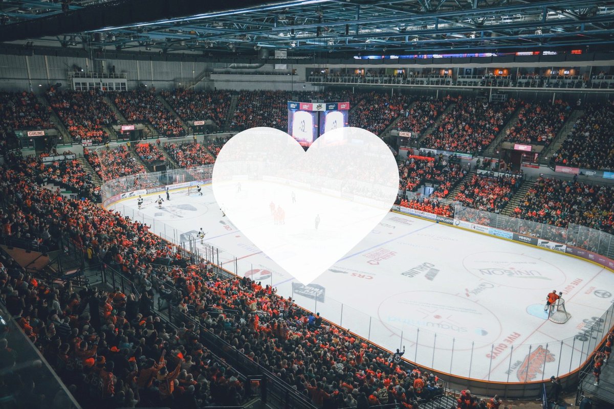 TriggerHub Sheffield Steelers tweet media
