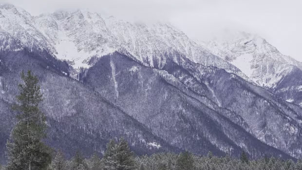 What does this year's lower than average snowpack mean for drinking water, agriculture and forests? 

<a href="/UNBC_GEES/">UNBC Geography, Earth & Environmental Sciences</a> Associate Professor @JosephShea spoke with CBC about lack of snow in British Columbia: cbc.ca/amp/1.7079893

#ThisIsUNBC 

📸courtesy <a href="/cbcnewsbc/">CBC British Columbia</a>