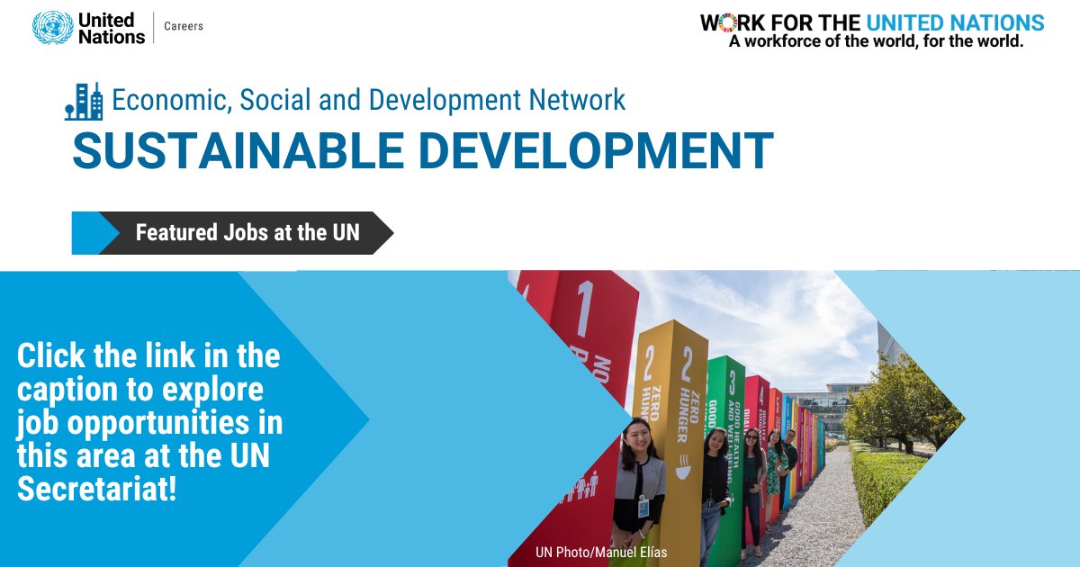 UN Careers tweet media