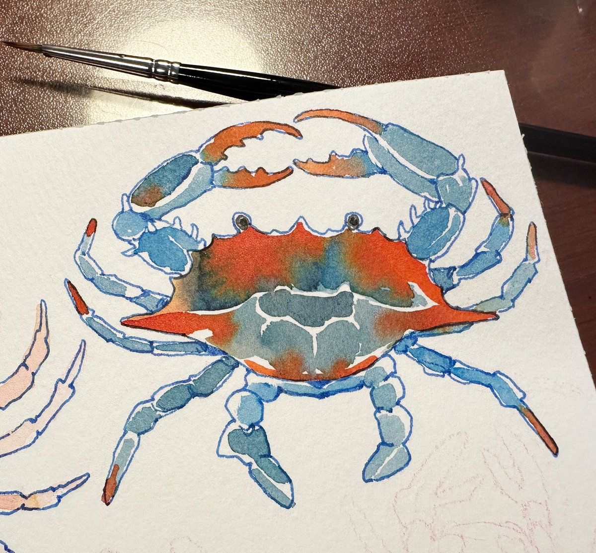 「Crab day」|maru @ kawaiikon 832のイラスト