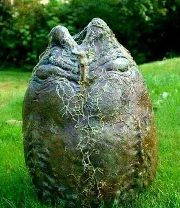 Arachron (☥𝐃𝐁) tweet media