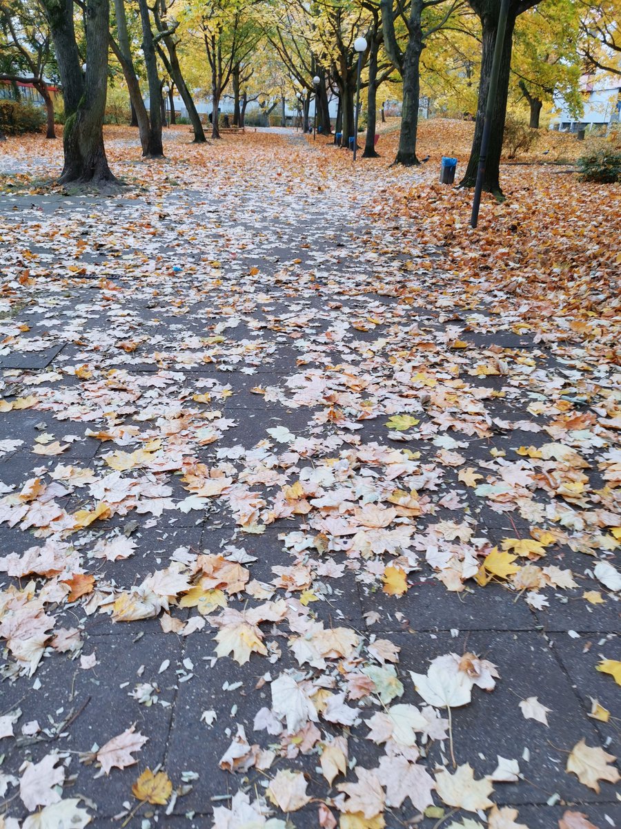 عندما تراني أرحل
بعد سبب تافه...

تأكد بأنني تغاضيت
عن ألف  سبب عظيم.
#تصويري