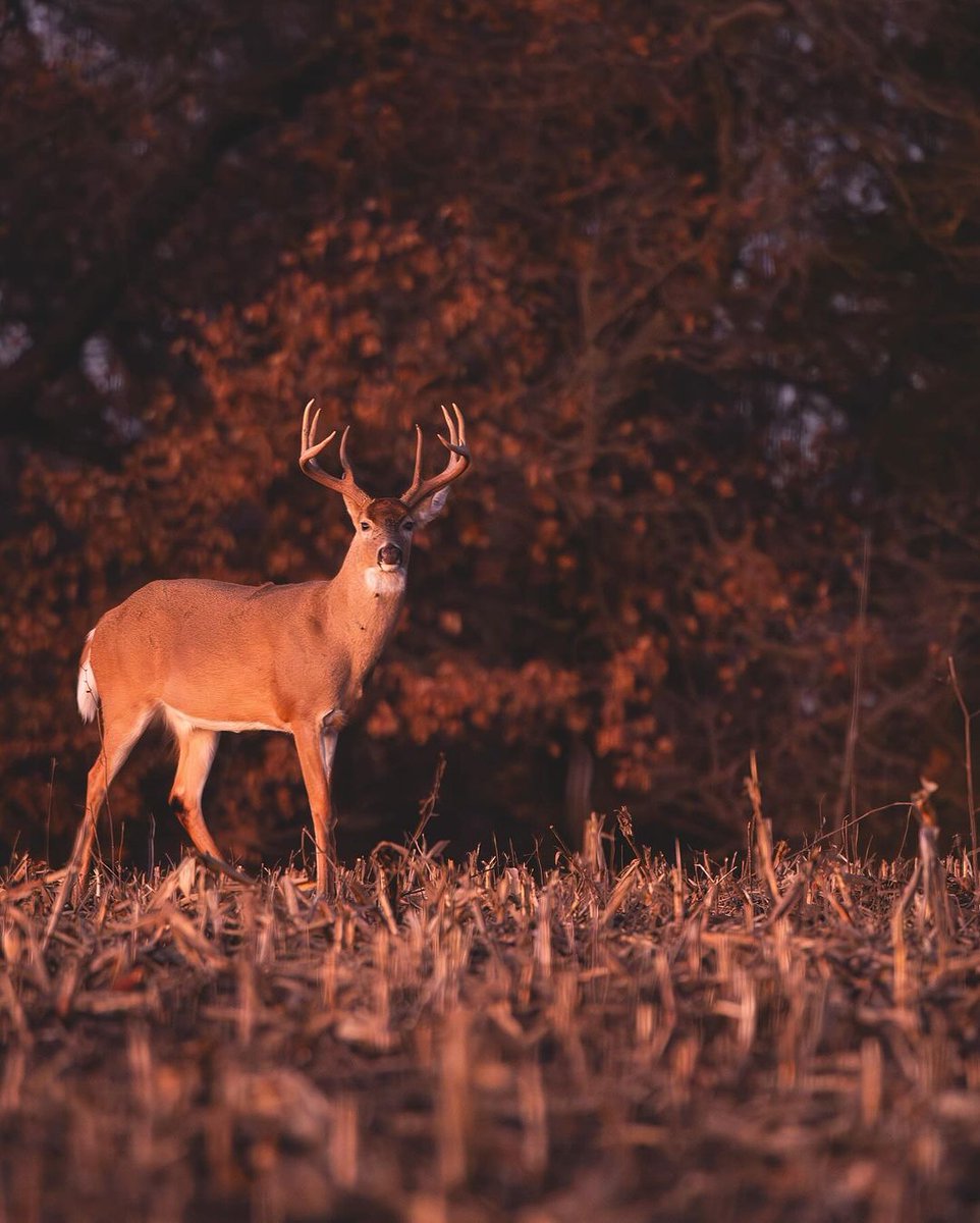 WAYPOINT tweet media