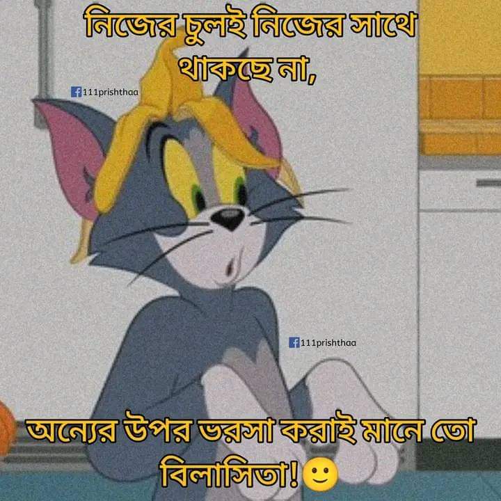 আসলেই বোকামি😔😔