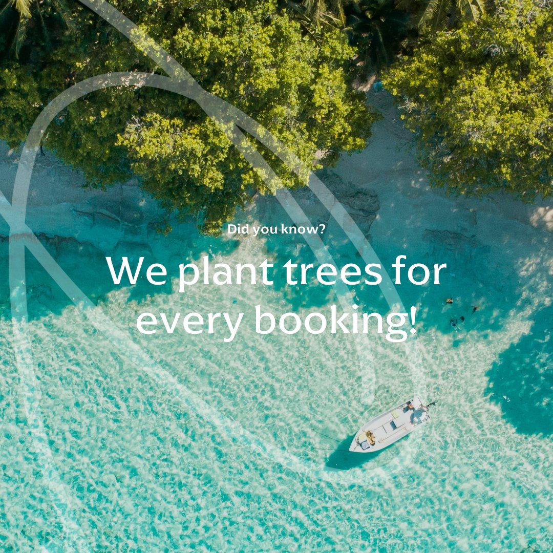 OutOfOfficeCom's tweet image. For every booking made with Out Of Office, we commit to planting trees to help reduce the impact of travel on future generations.
#ecologi #planttrees #trees #travel #luxurytravel #lgbttravel