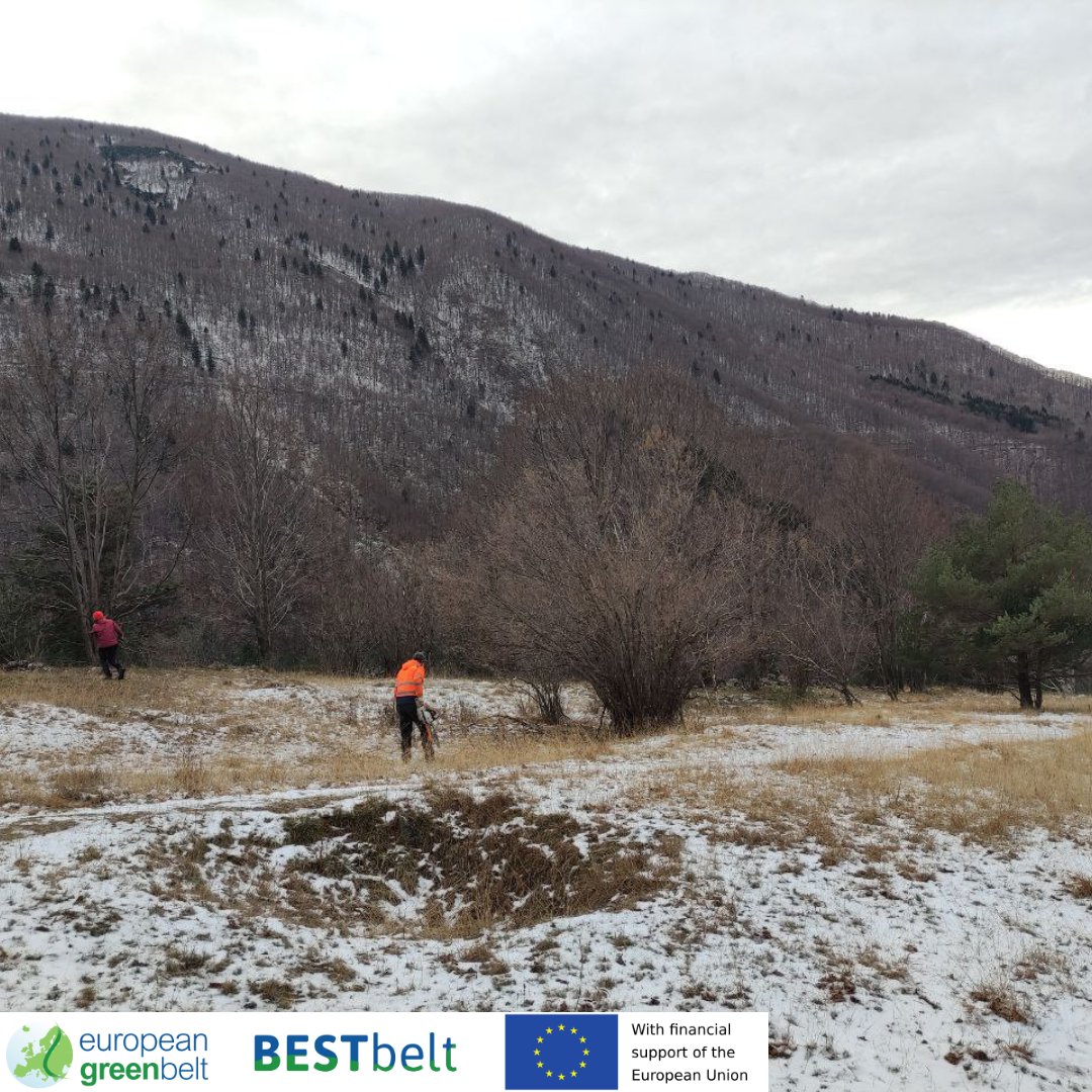 ReteItalia_EGB's tweet photo. Nature sleeps, but we don't!New update on our #BESTbeltproject in #Lusevera: the cutting operations on the alpine meadows of Val di Musi took place: encroaching shrubs and young trees have been removed to keep this habitat open and sunny for its unique floral communities! #Riegb https://t.co/6Z5l9BZiza