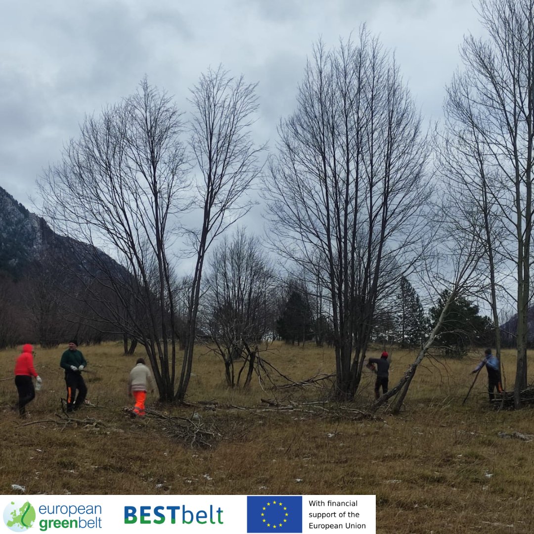 ReteItalia_EGB's tweet photo. Nature sleeps, but we don't!New update on our #BESTbeltproject in #Lusevera: the cutting operations on the alpine meadows of Val di Musi took place: encroaching shrubs and young trees have been removed to keep this habitat open and sunny for its unique floral communities! #Riegb https://t.co/6Z5l9BZiza