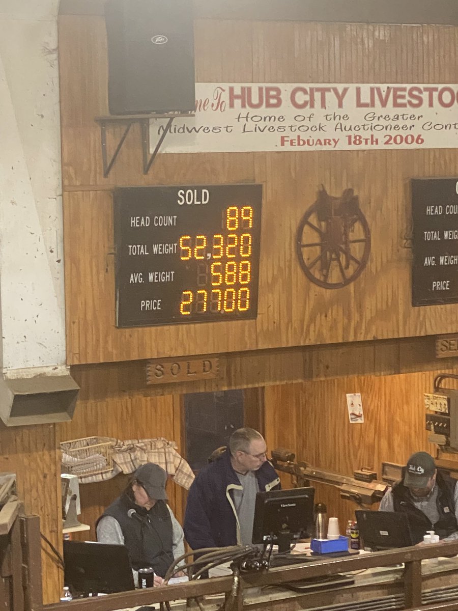 Hub City Livestock 1/10/24 
Great demand for quality black heifers!