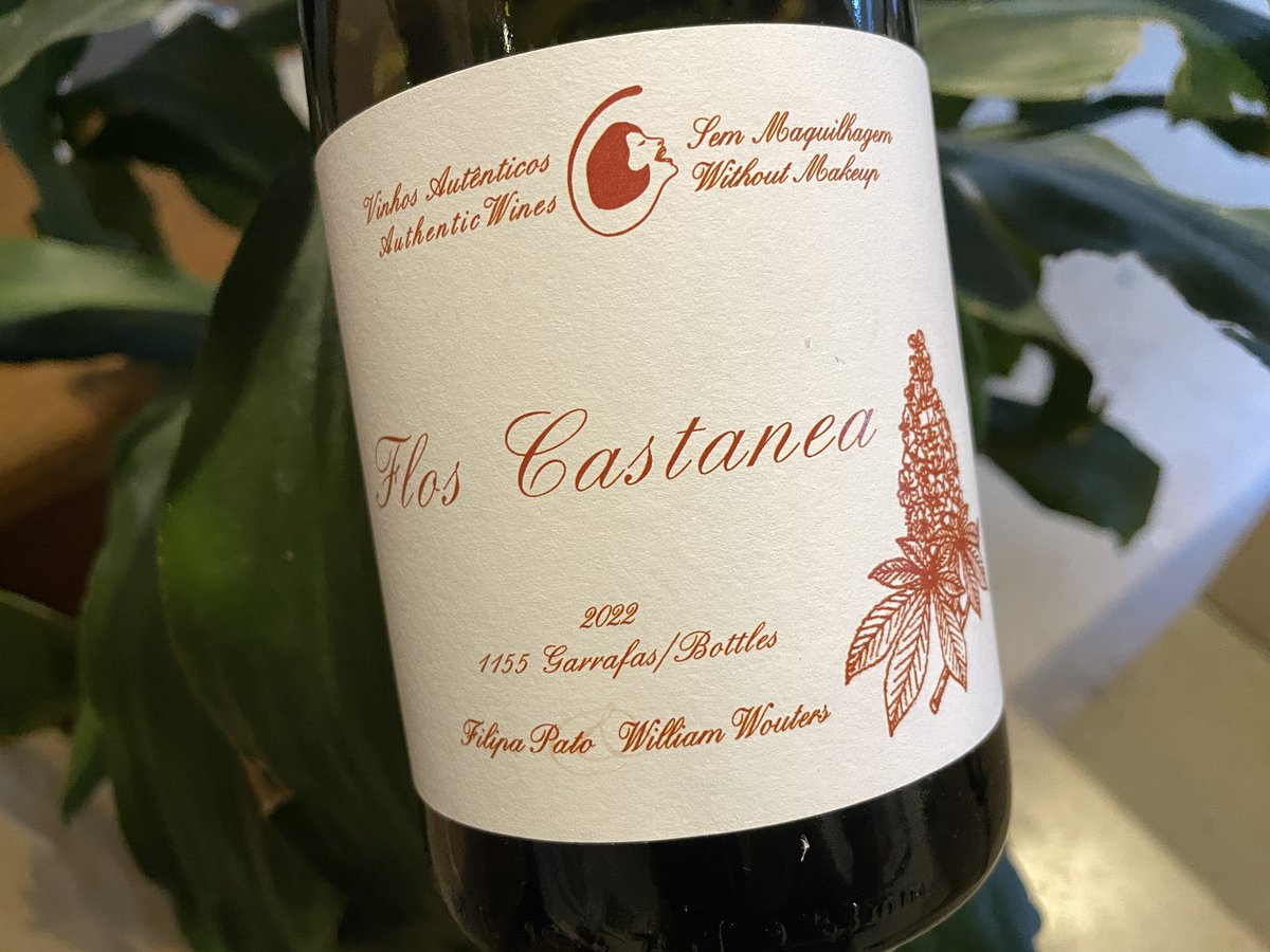 Highlighting the experimental Flos Castanea 2022 from Filipa Pato &amp; William Wouters on Wine Anorak : 

wineanorak.com/2024/01/10/hig…

#Bairrada #Portugal