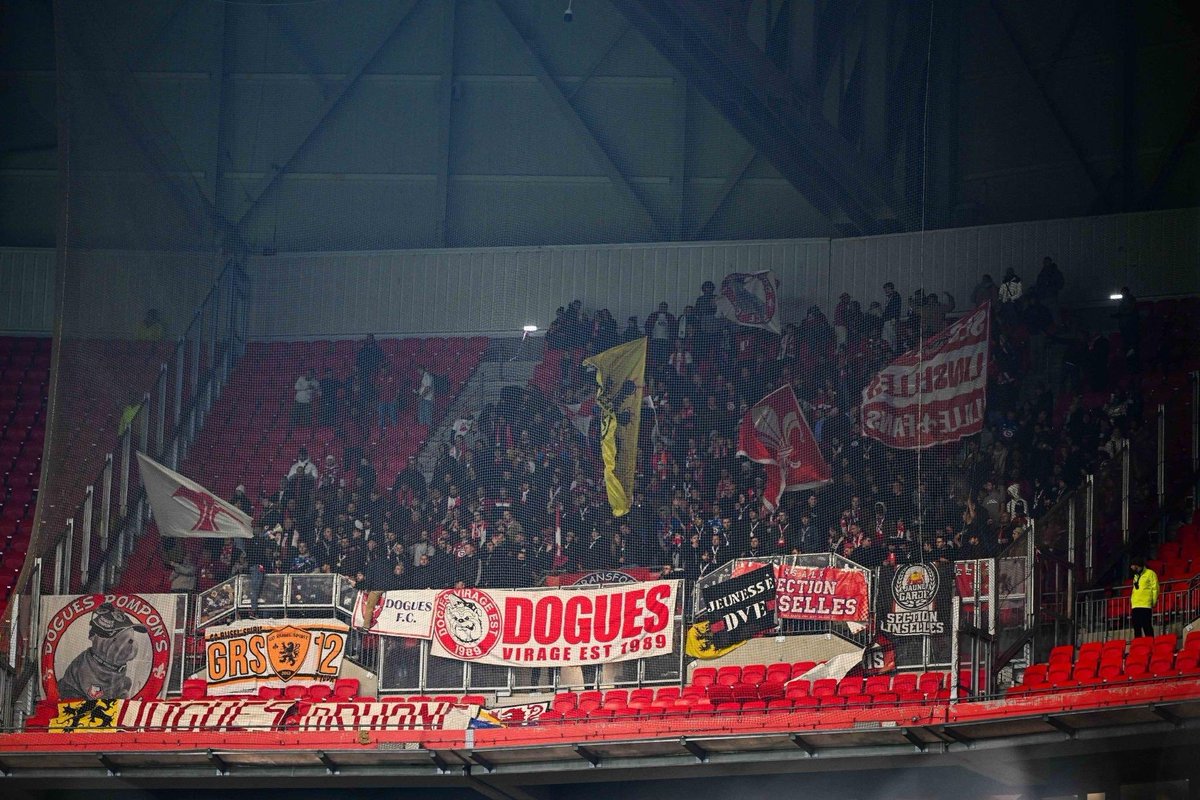 Dogues du Rhône tweet media