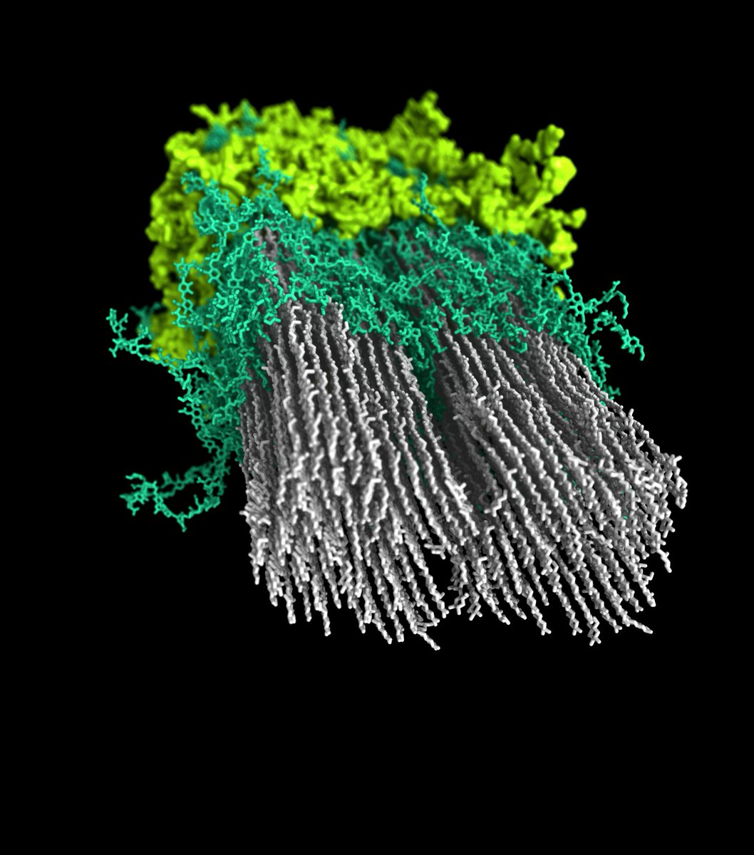 Big news: NREL researchers used solid-state nuclear magnetic resonance to make the first detailed computer model of plant secondary walls. This breakthrough may hold the key to converting #biomass to #sustainable #fuels, #chemicals, and materials. Read on: bit.ly/47EQWGR