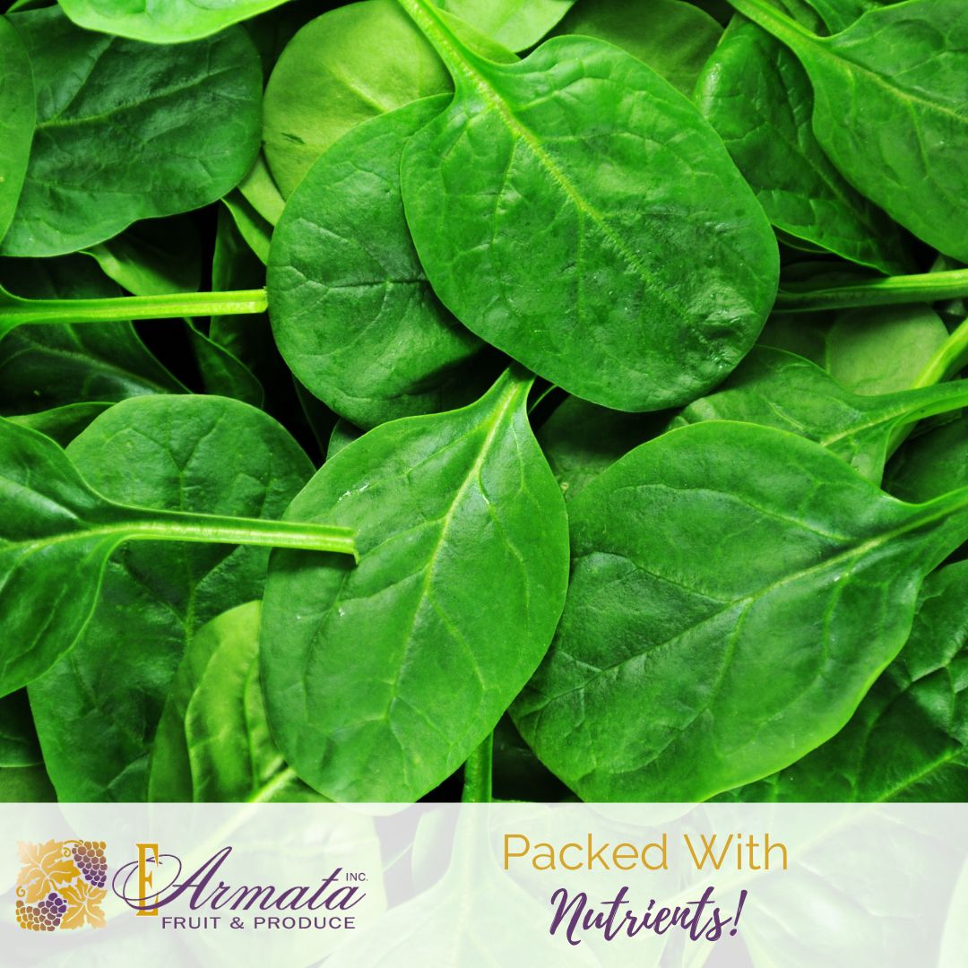 EArmataHuntsPt's tweet photo. Add a green twist to your meals with our crisp and nutrient-packed #spinach. A versatile ingredient that brings both taste and health to your table!

https://t.co/JabypR1edC

#EArmataInc #Bronx #LongIsland #NewYork #NYC #HuntsPointMarket #FreshProduce #NewJersey #Connecticut https://t.co/mnR7m2X5JT