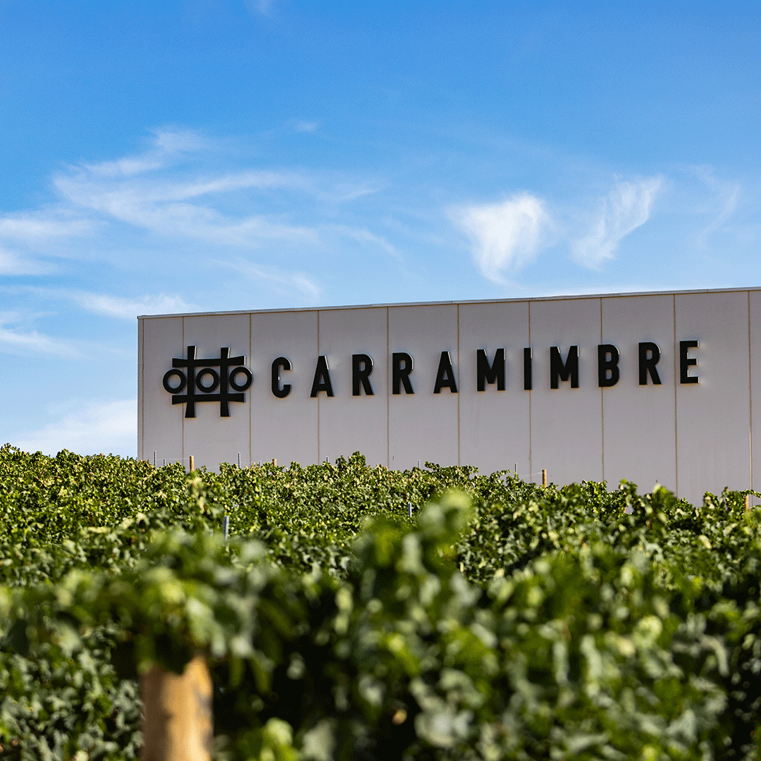 🍇 Nuestra bodega es el corazón de Carramimbre, más de 70 hectáreas de viñedos propios cultivados con amor y dedicación.