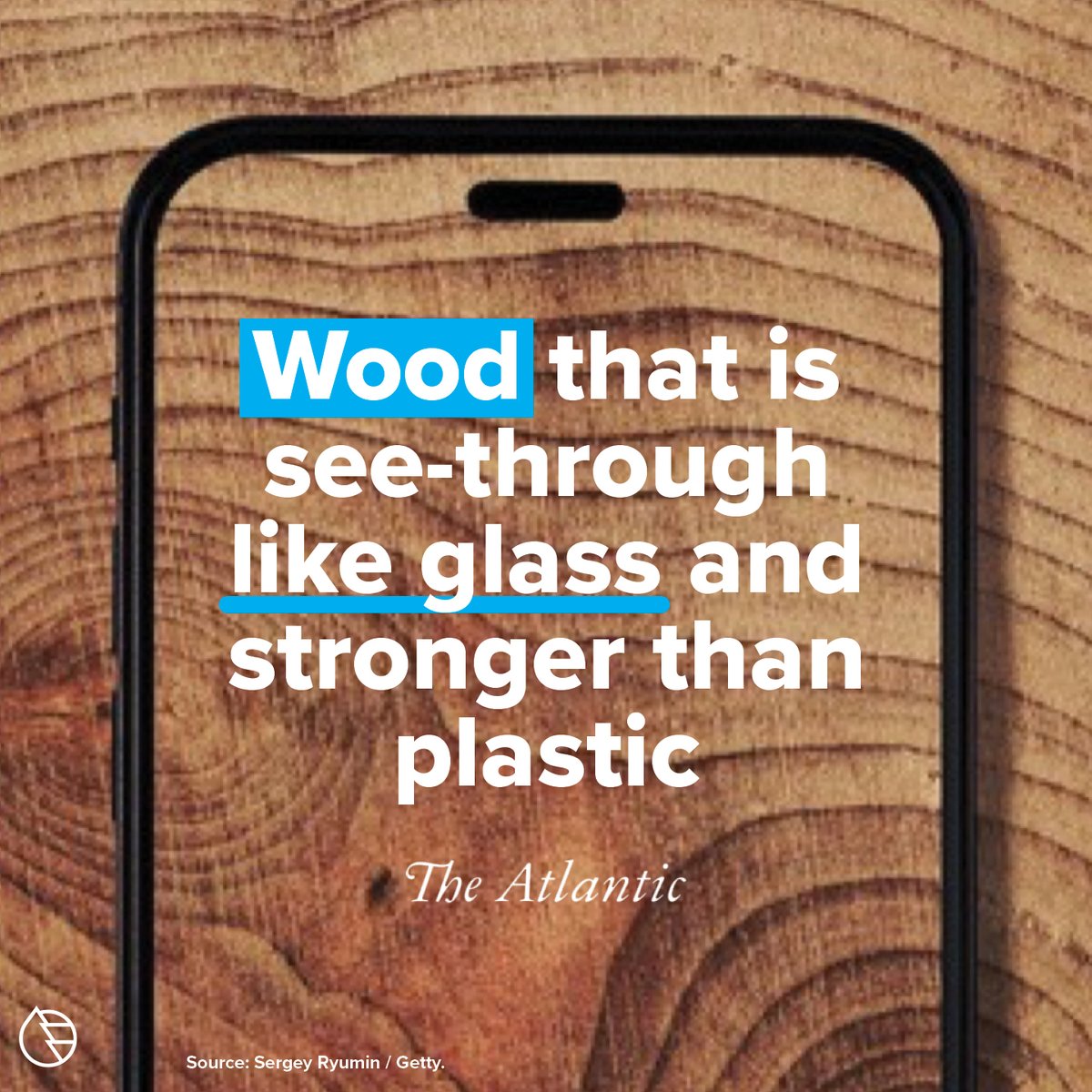 Georgia Forestry Foundation tweet media