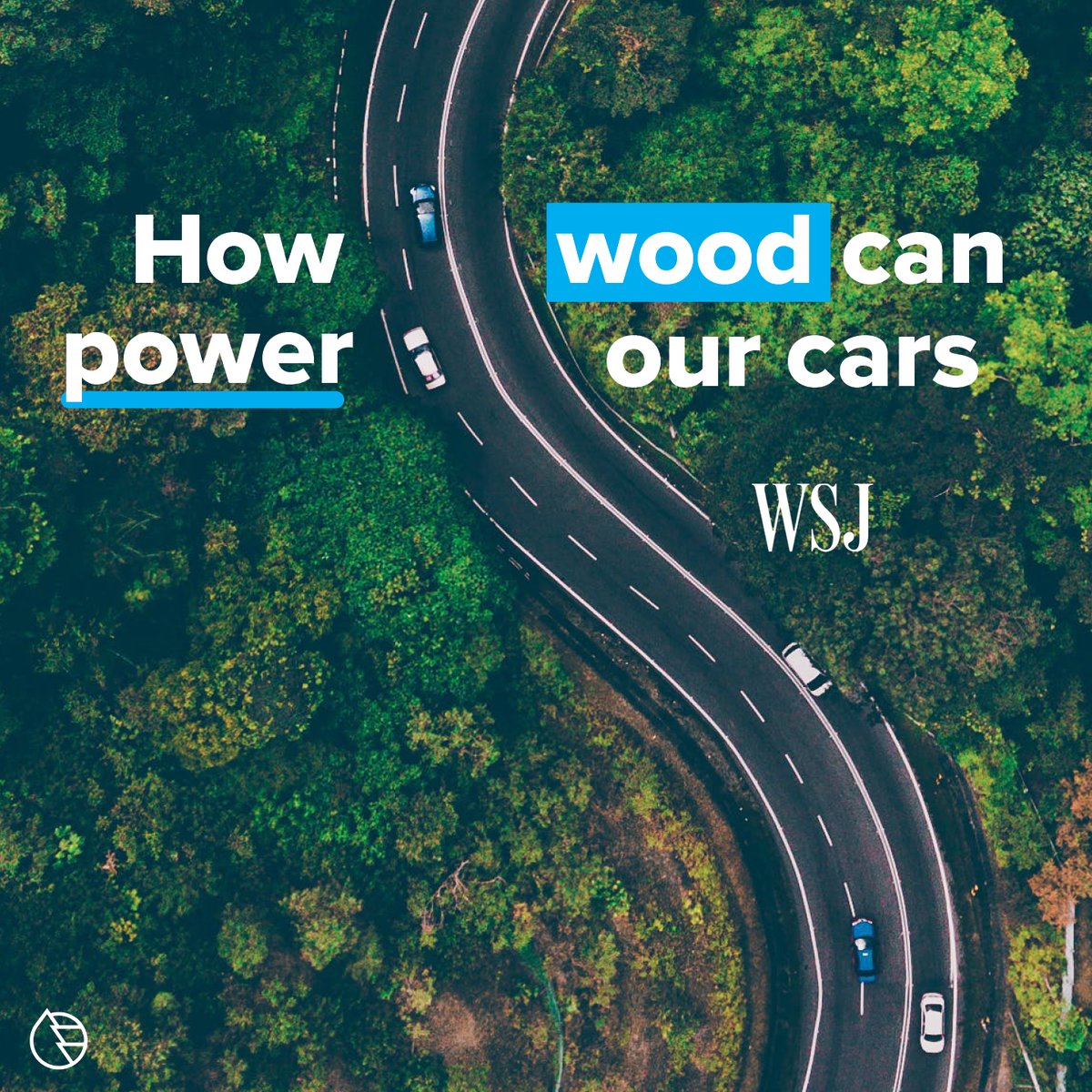 Georgia Forestry Foundation tweet media