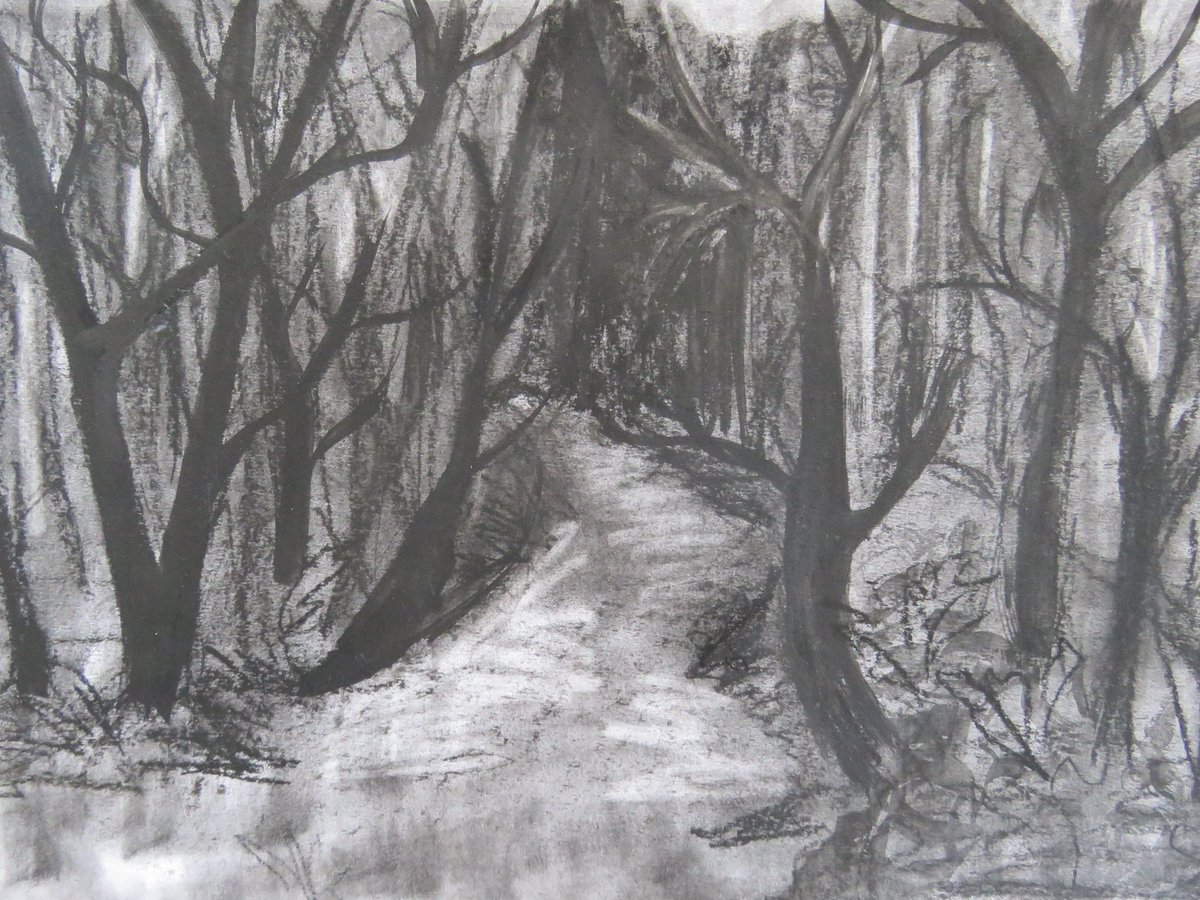 Some wonderful expressive artwork coming in for our Christmas Art Challenge #FourSeasons     -  Forest studies in acrylic and pen, and in charcoal by Yara, Block 2