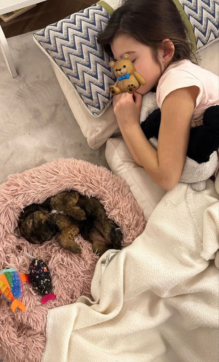 liz (@stheantihero) on Twitter photo 