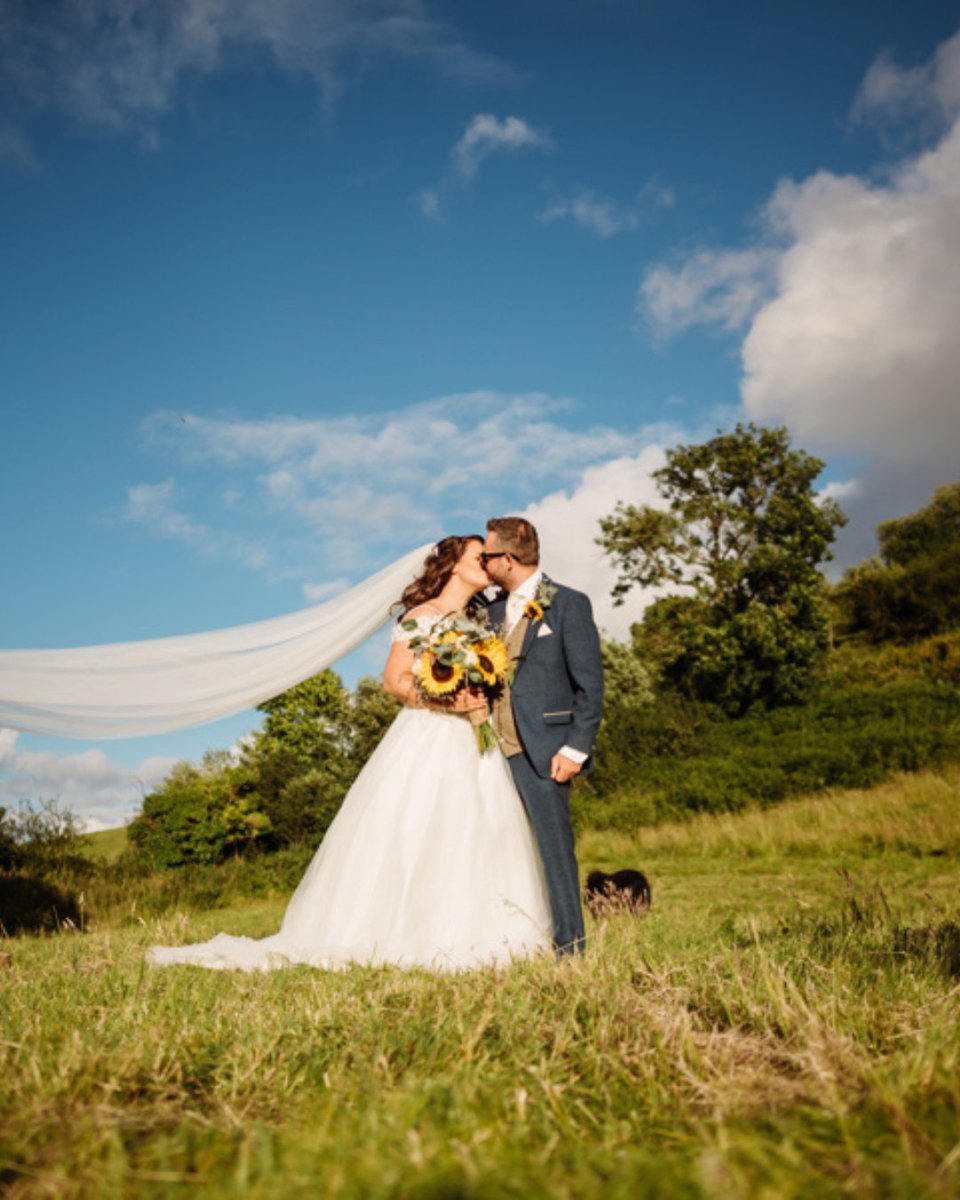 World Inspired Tents tweet media