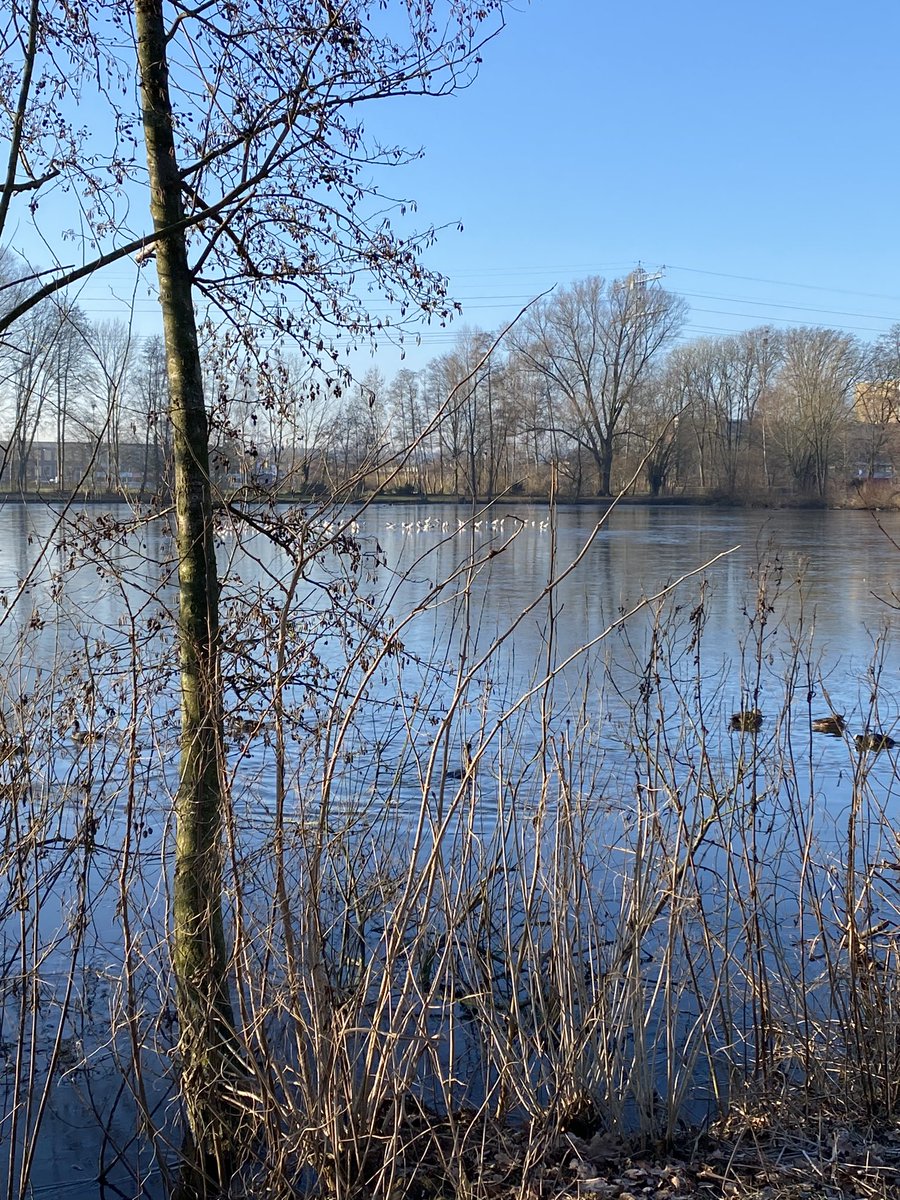 Hannashome_40's tweet photo. Het was vanmorgen prachtig, een heerlijke vrieslucht
#winterwandelen #winterwandern #winterwanderer #winterwandeling #vrieslucht #vrieskou #vrieskou❄️ https://t.co/hv4exiTaqa