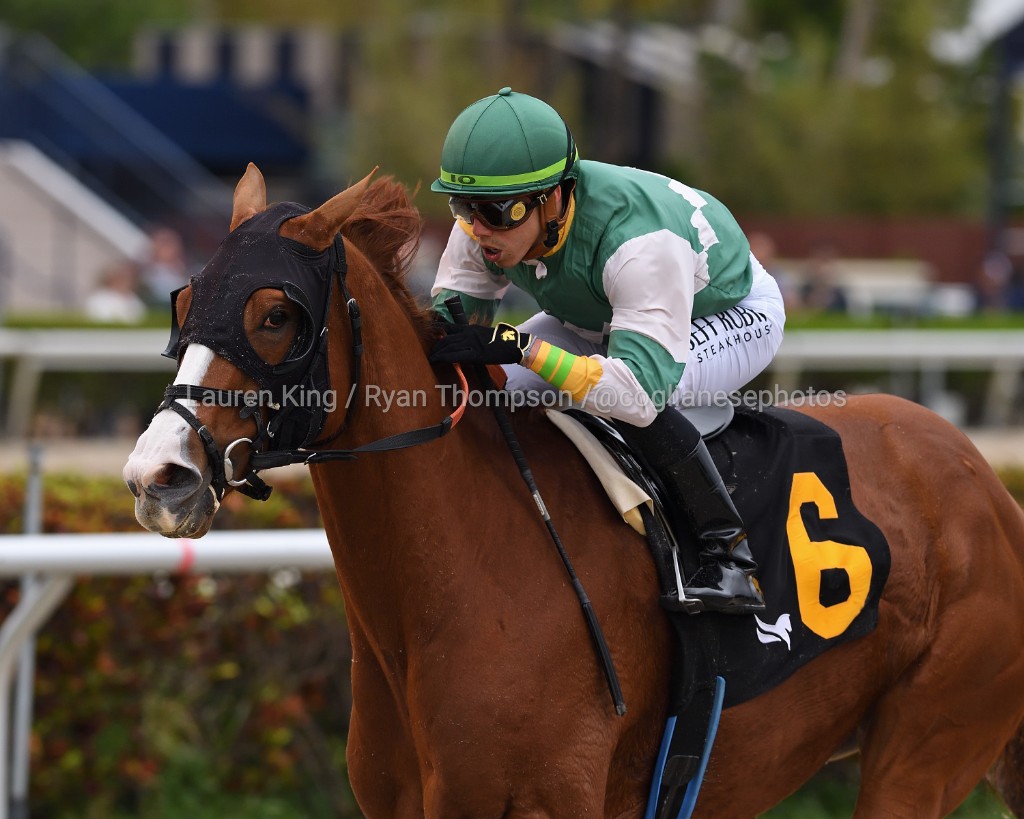 More at videohipi.co 
#FloridaBred Backchat powers home to score in the second race, <a href="/iradortiz/">Iradortiz</a> rode for trainer <a href="/juliestormfelt/">Julie Stormfelt</a> and owner Rustlewood Farm. #GulfstreamPark #ChampionshipMeet 

Backchat atropella con potencia para anotarse el triunfo en la 2.ª, montó