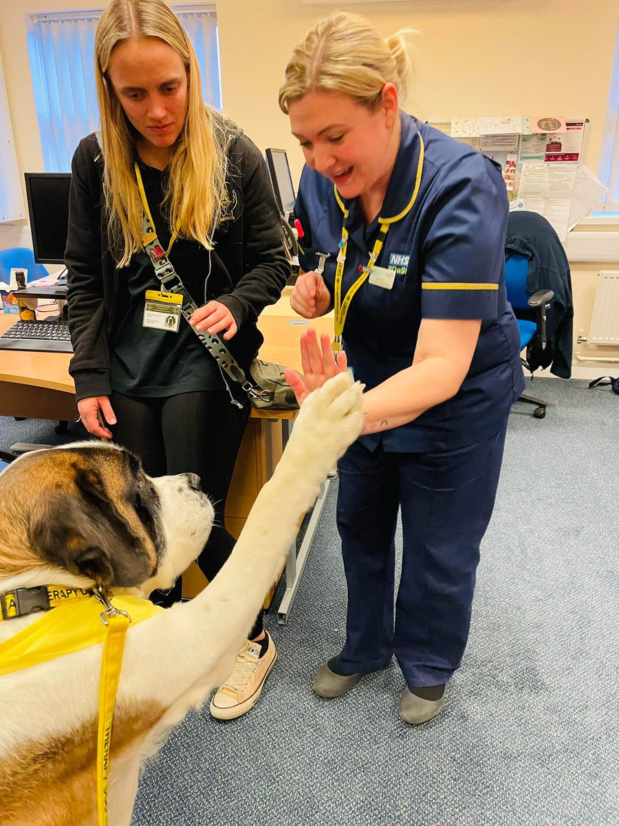 High five 🙏🏼🥰 <a href="/rdash_nhs/">RDaSH NHS FT</a> <a href="/TherapyDogsUK/">Therapy Dogs</a>