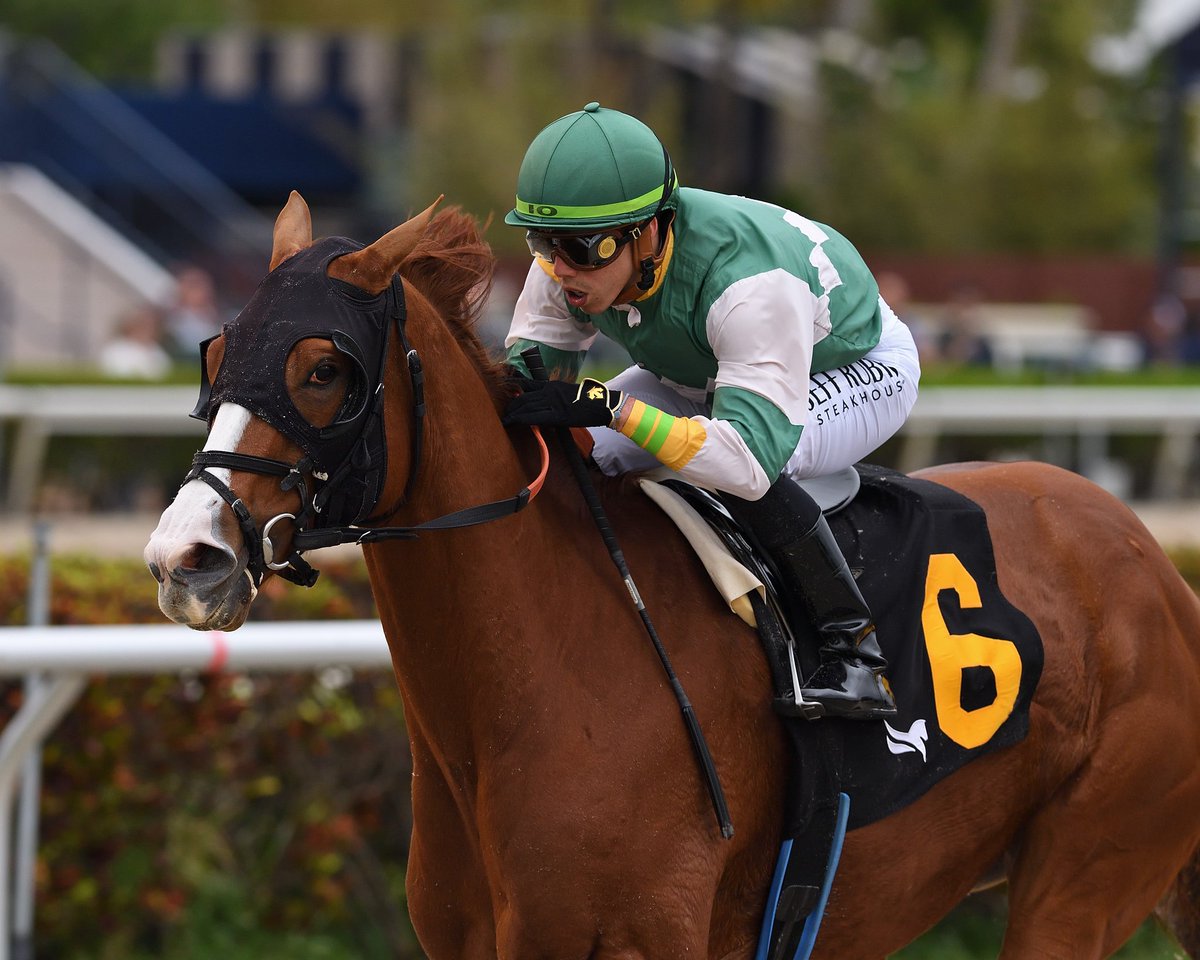 Backchat powers home to score in the second race, <a href="/iradortiz/">Iradortiz</a> rode for trainer <a href="/juliestormfelt/">Julie Stormfelt</a> and owner Rustlewood Farm. #GulfstreamPark #ChampionshipMeet