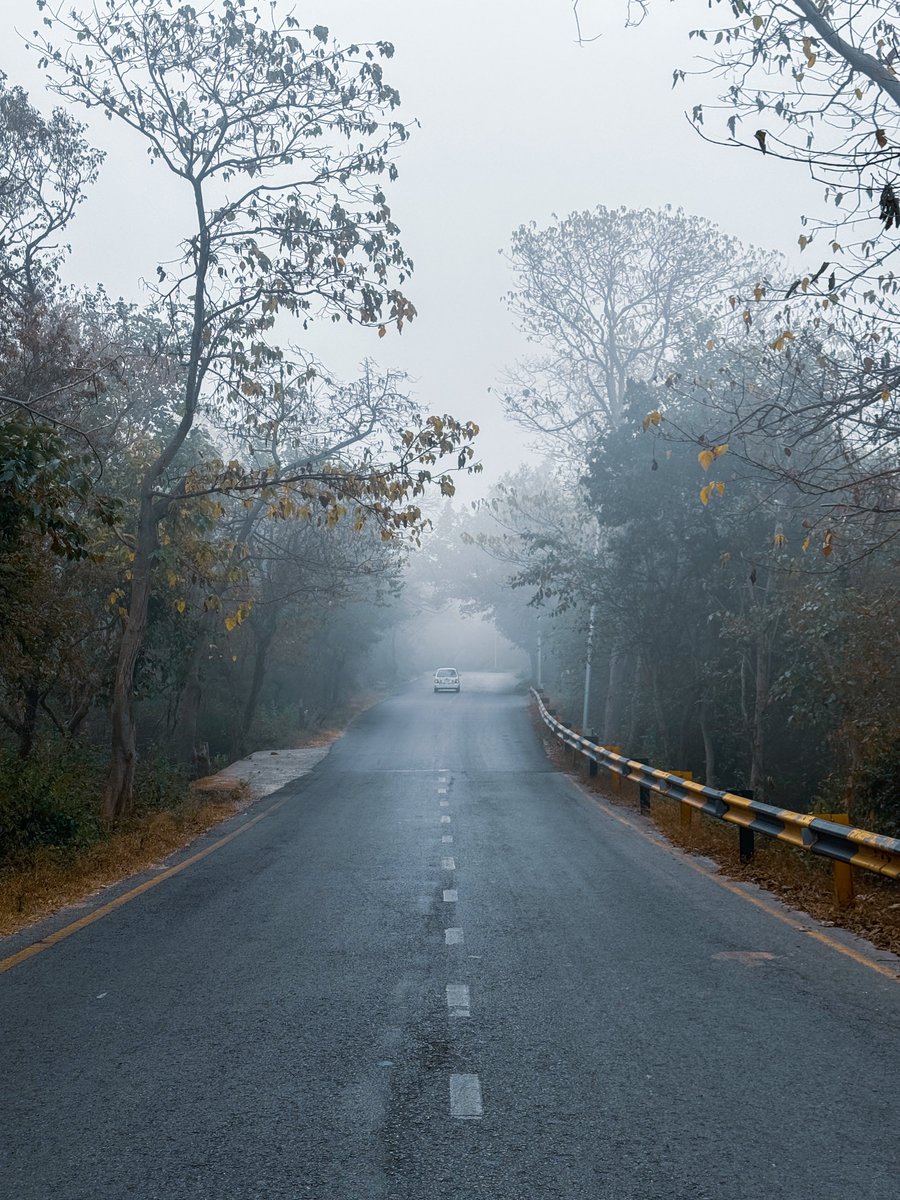 AliBasitt's tweet photo. Foggy morning ft Islamabad 

#islamabad @Islamabadies https://t.co/YFC3J7SOoQ