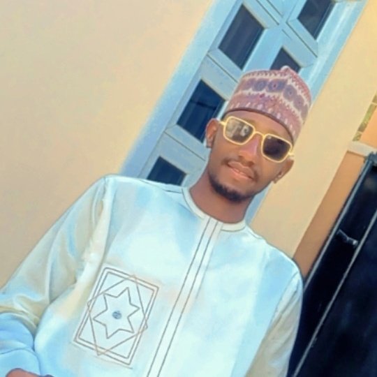 Baradeabubakar5's tweet image. #NewProfilePic