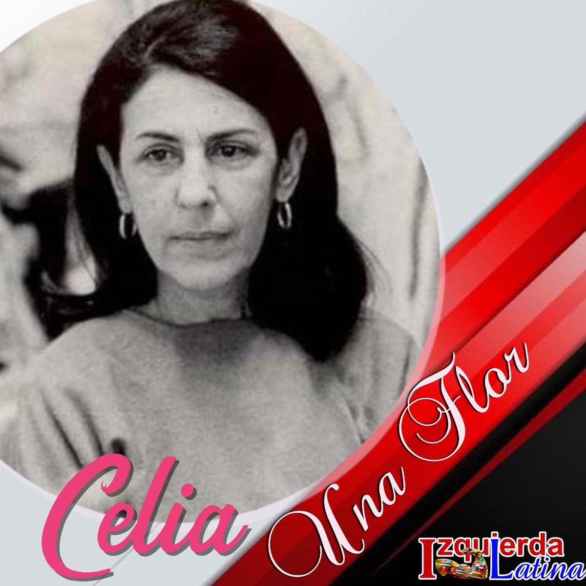 ElbaRosaPM's tweet photo. #Celia ejemplo de mujer íntegra su legado, ejemplo y amor por 🇨🇺 nos acompañan e inspiran siempre.

#CeliaUnaFlor #CeliaVive https://t.co/W5pVG6DElG