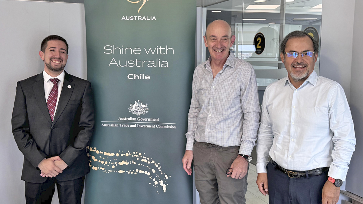 Conecta Logística tweet media