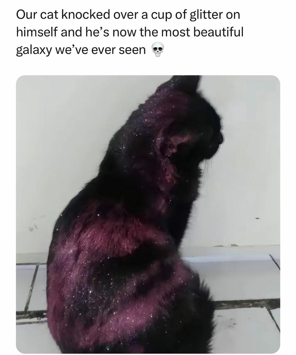 catshealdeprsn's tweet image. 