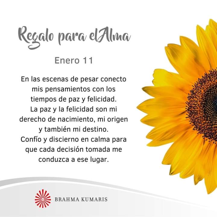 MariferDelfin's tweet photo. https://t.co/C85lm8du6j